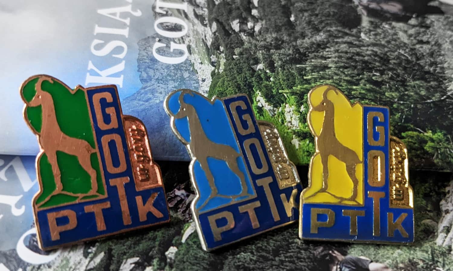 GOT dla dzieci: odznaki 