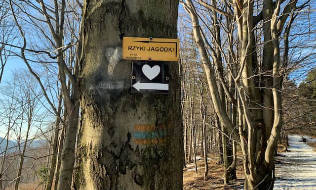 White Hearts Trail to Leskowiec. Photo by M. Jantas