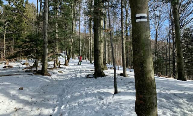 Leskowiec in winter. Photo by M. Jantas