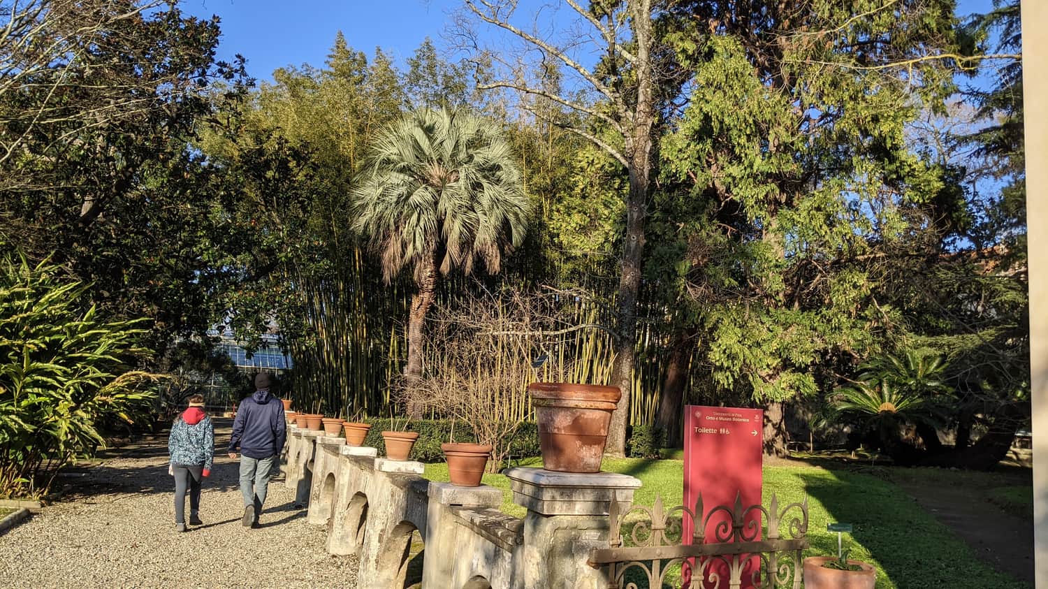 Ogród Botaniczny w Pizie