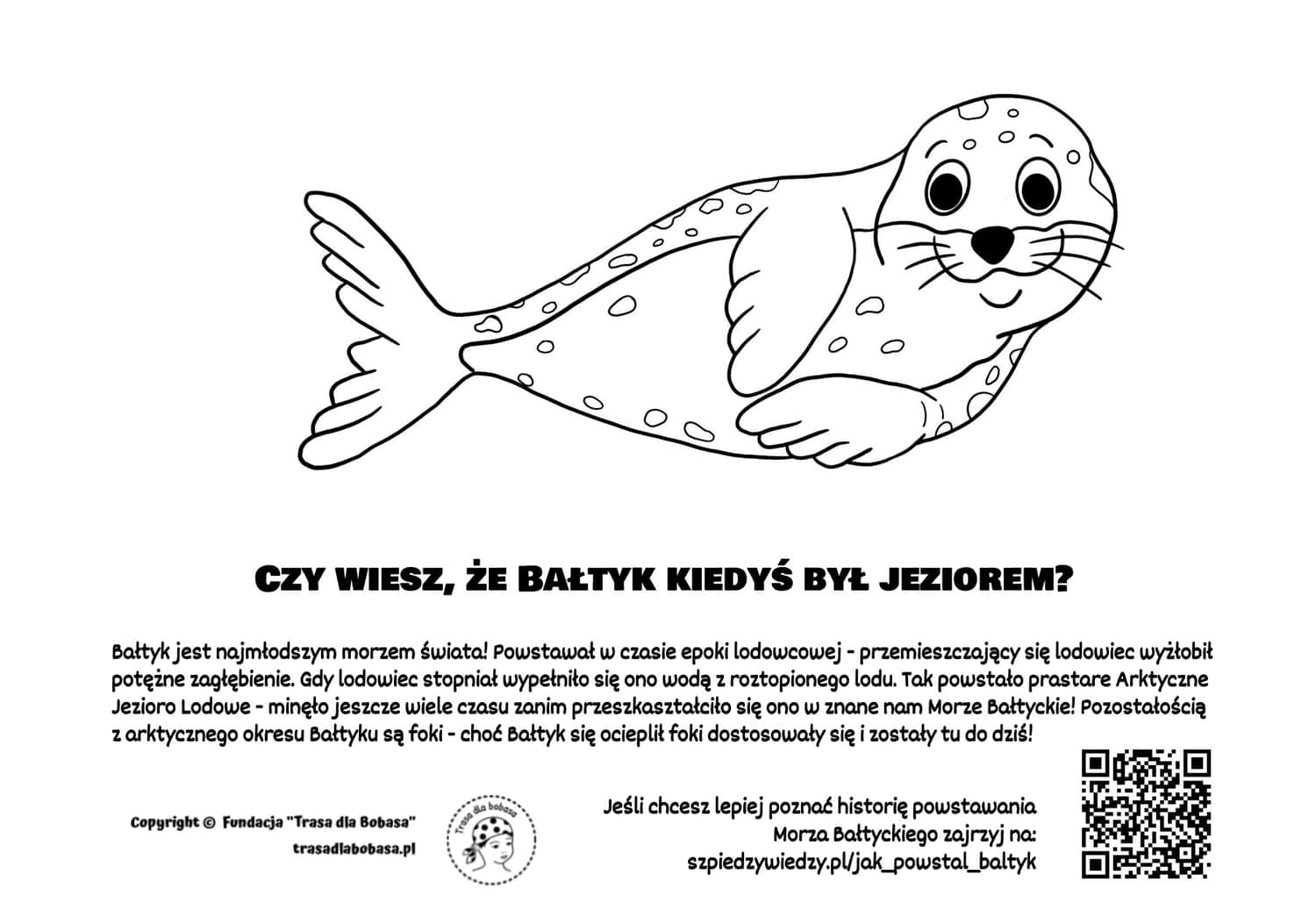 Foka Bałtyk kolorowanka dla dzieci pdf do wydruku