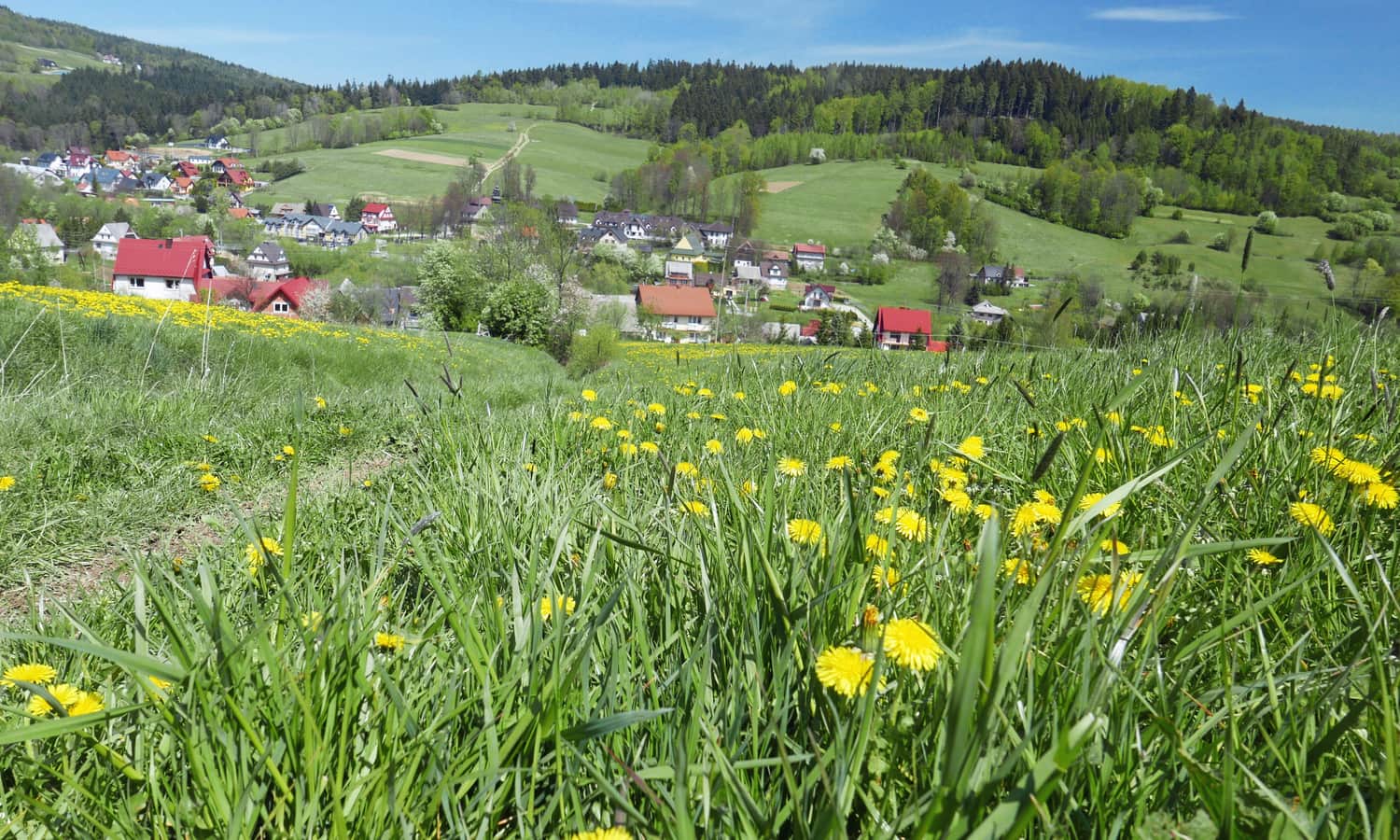 Skomielna Czarna - widok z zielonego szlaku