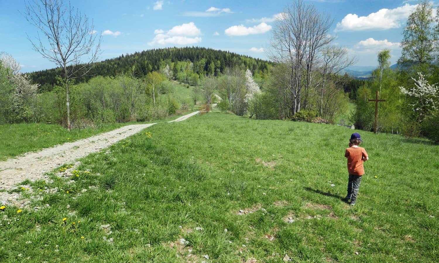Polana na Groniu, widok na wschód
