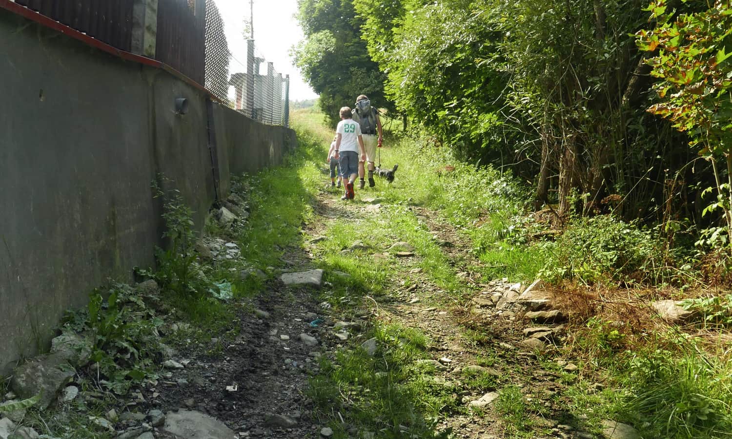 Blue trail to Jałowiec from Zawoja Wełcza