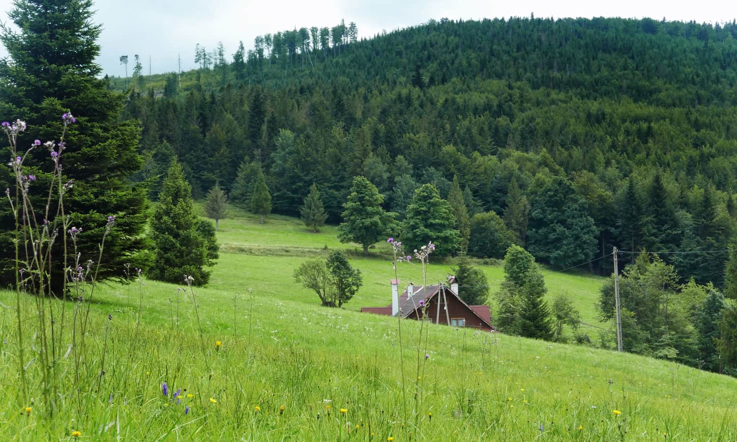 Przełęcz Klekociny, Zygmuntówka Shelter