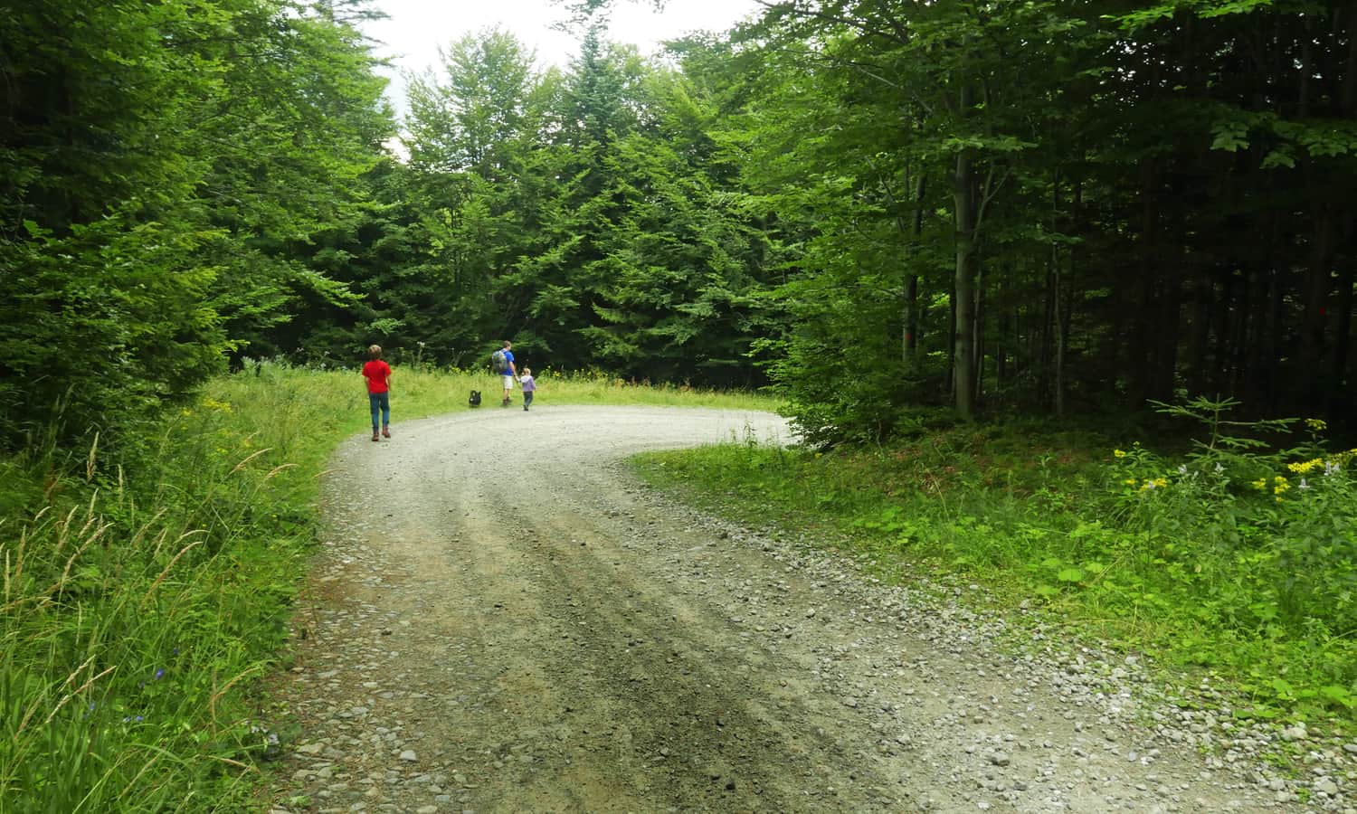 Return from the pass to Zawoja - road along Sikorówka stream