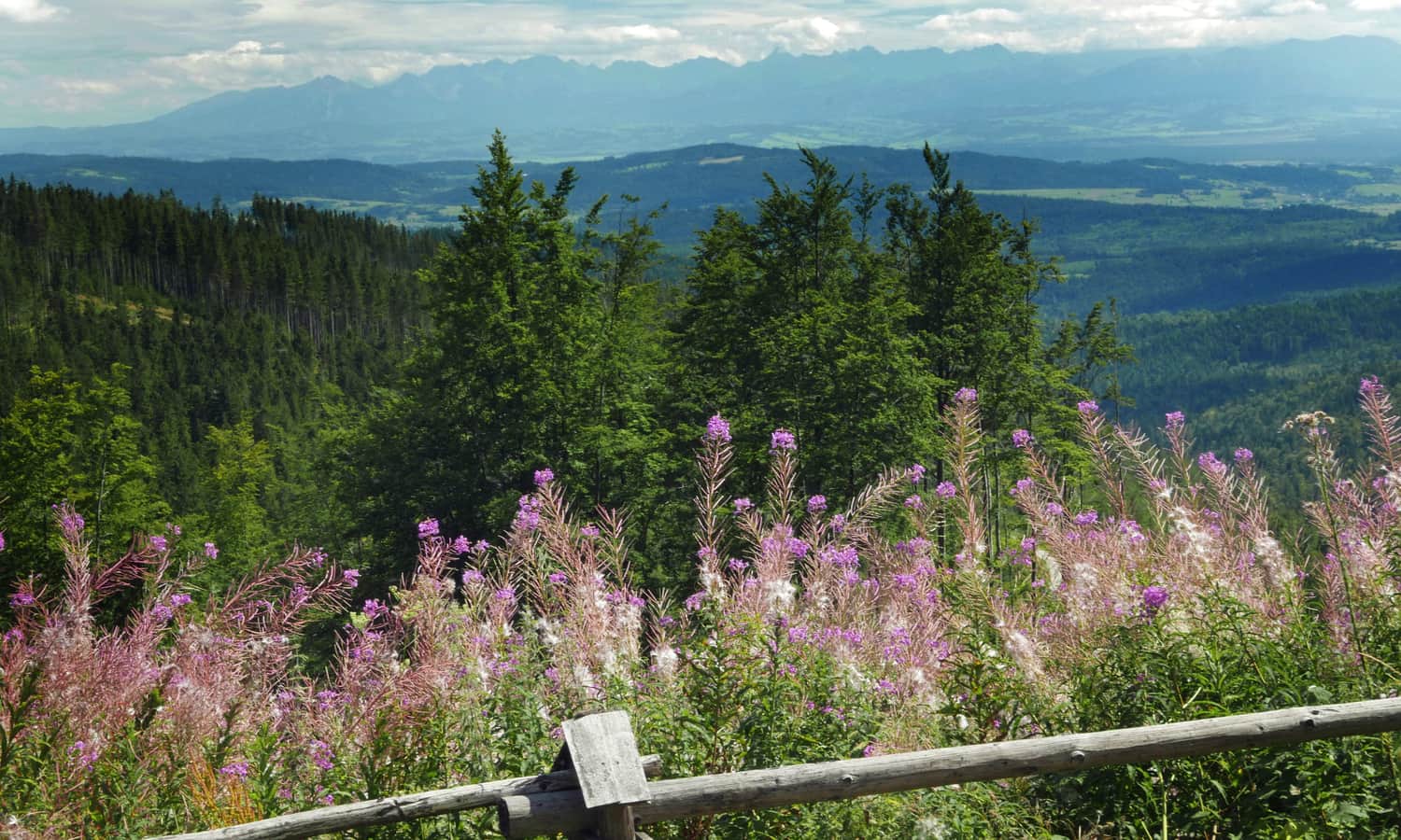 View of the Tatra Mountains from the shelter at Hala Krupowa