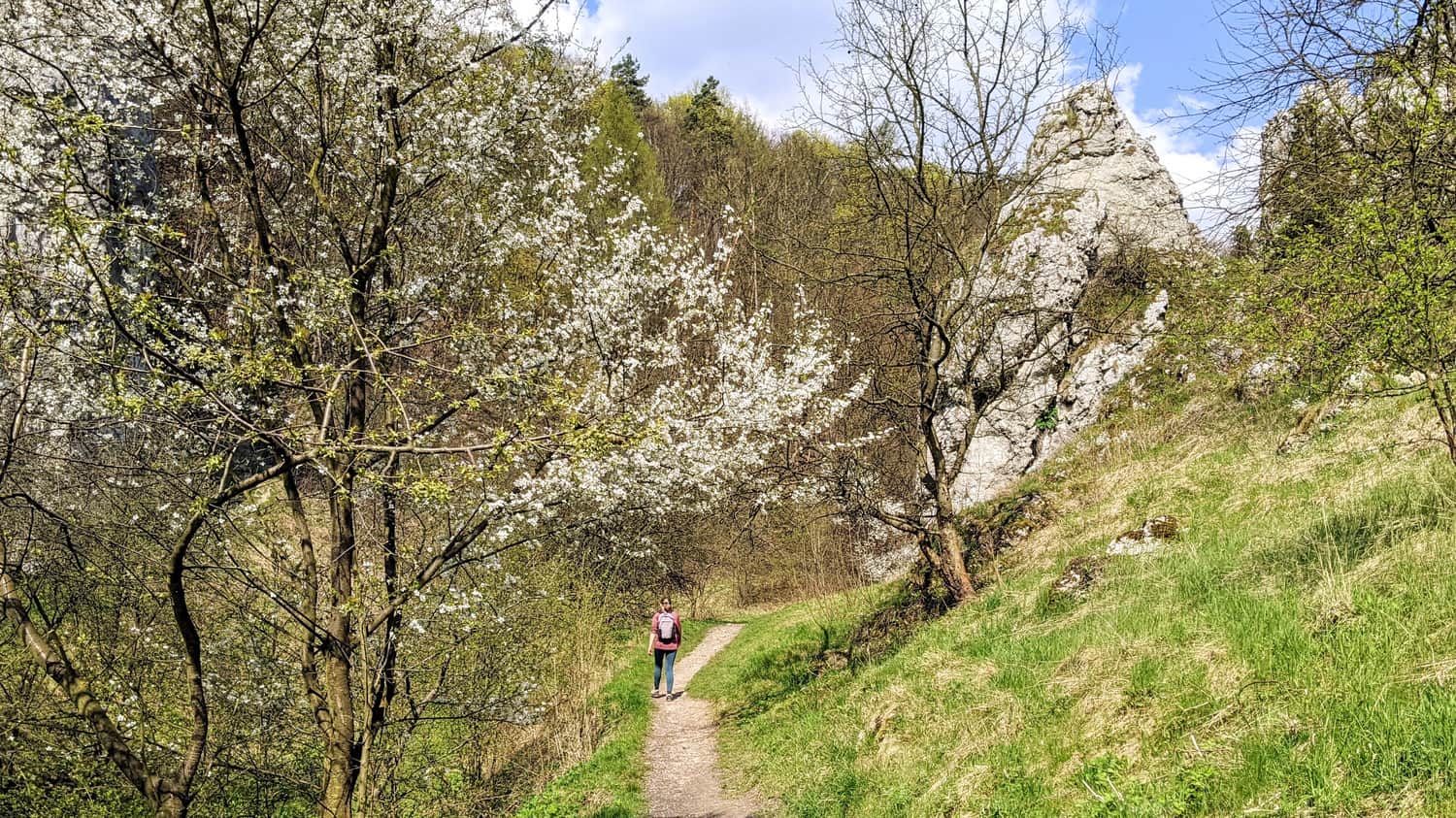 Path through Bolechowicka Valley