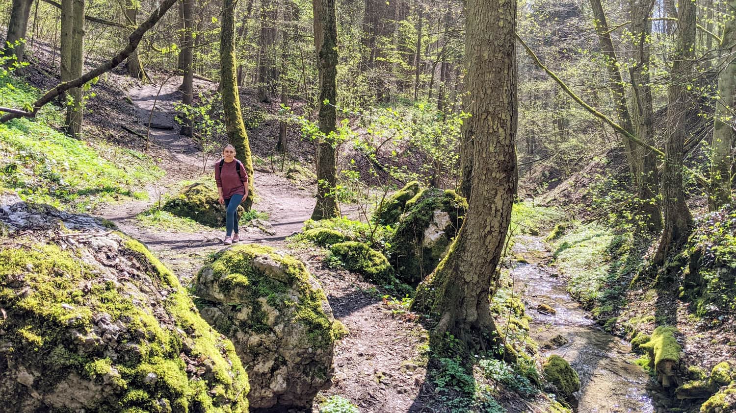 Bolechowicka Valley - trail to Bolechówka waterfall