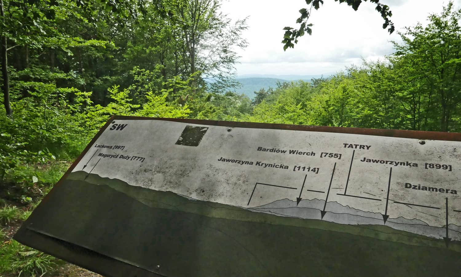 Panorama w 