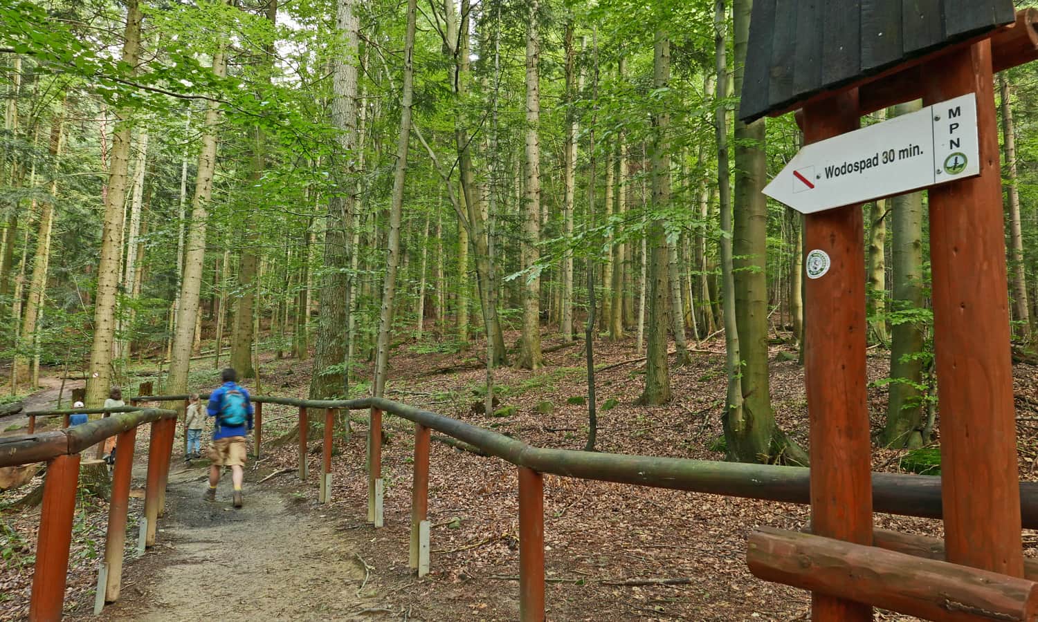 Folusz Path: From the Devil's Stone towards the Magurski Waterfall