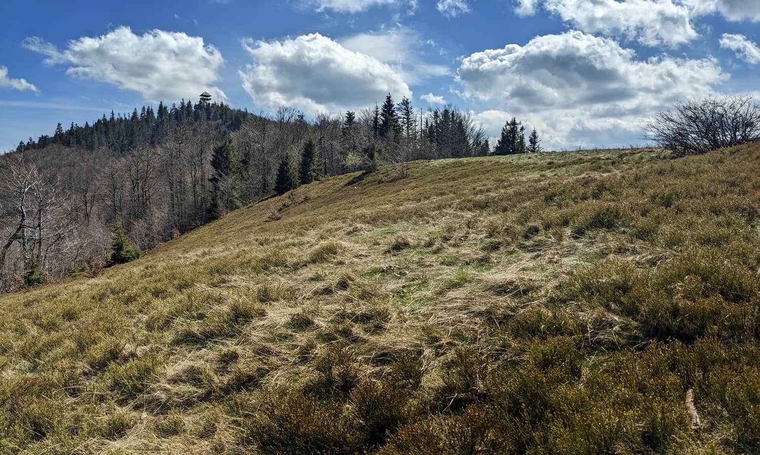 Wyśnikówka Glade. In the background, the peak and tower on Mogielica