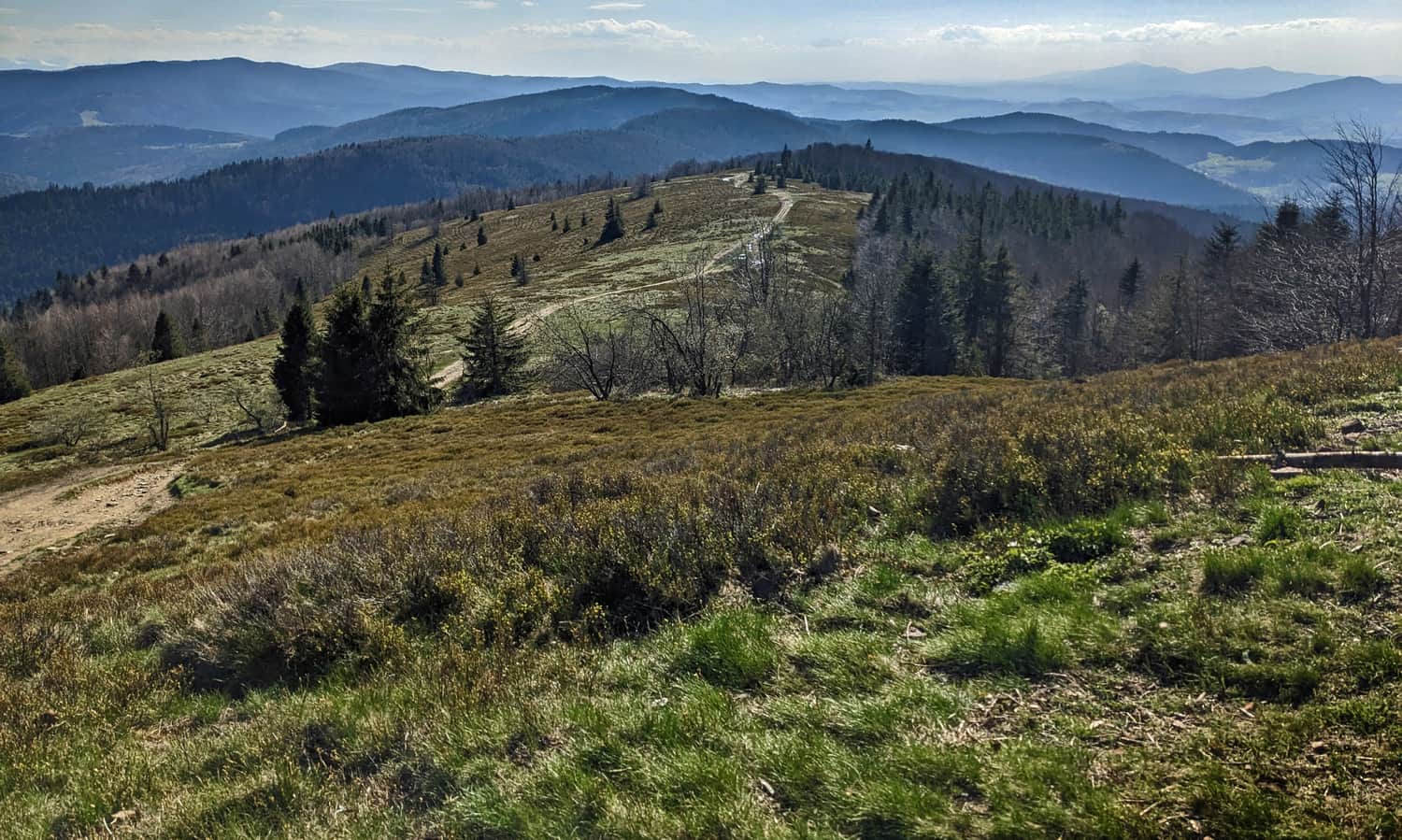 Polana Stumorgowa - scenic meadow below Mogielica