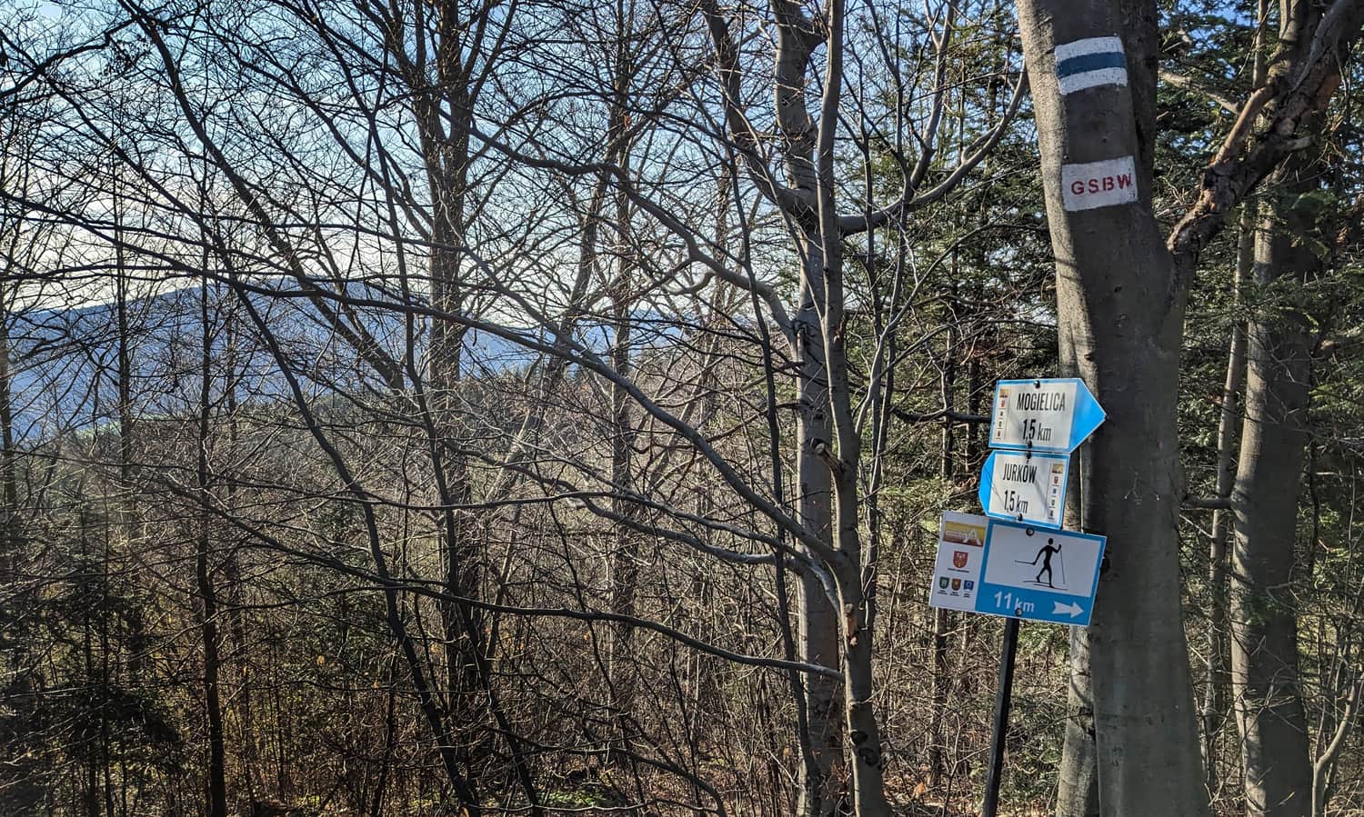 Ski trail on Mogielica