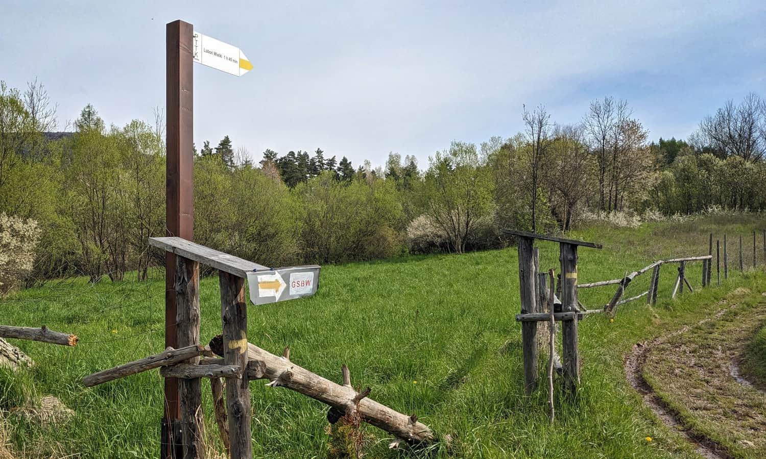 Początkowy odcinek żółtego szlaku w Rabce-Zaryte