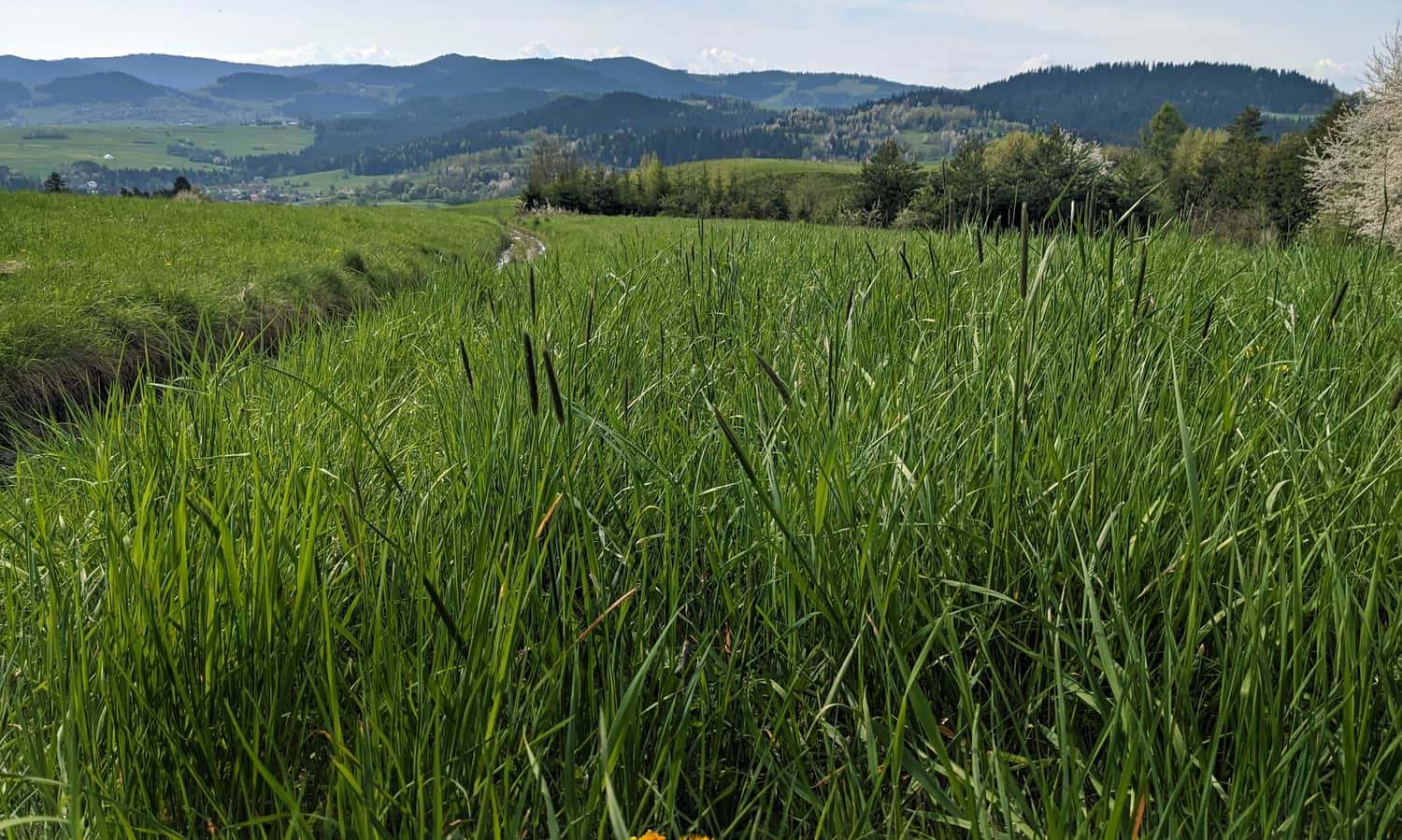 Widok z żółtego szlaku na południe