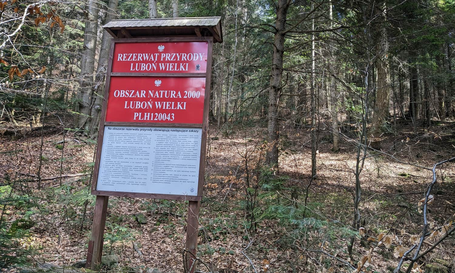 Rezerwat Przyrody Luboń Wielki