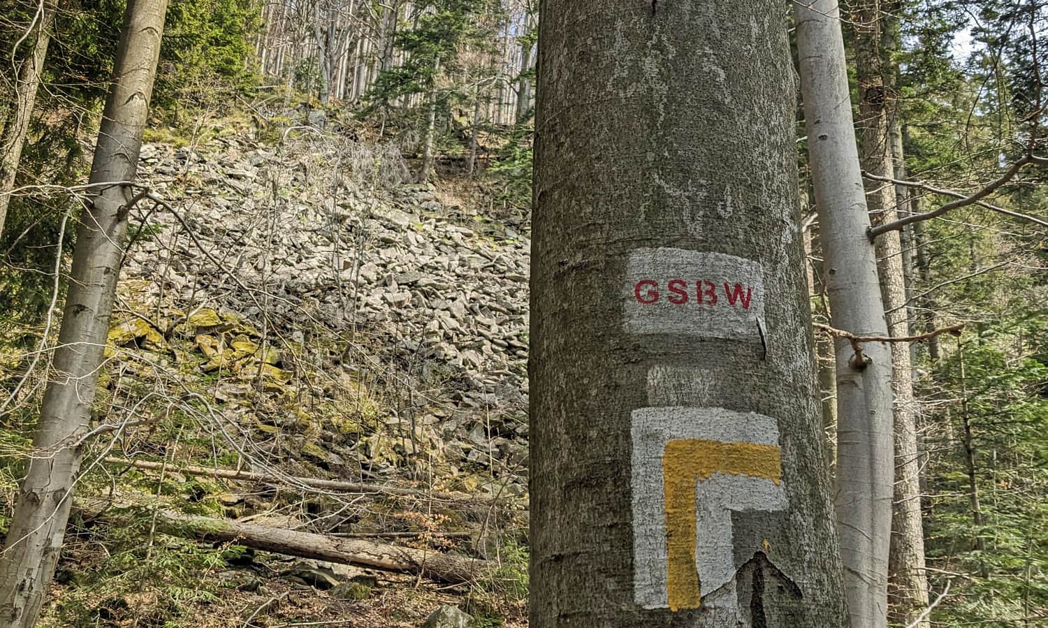 Perć Borkowskiego - rumowisko skalne na żółtym szlaku na Luboń Wielki