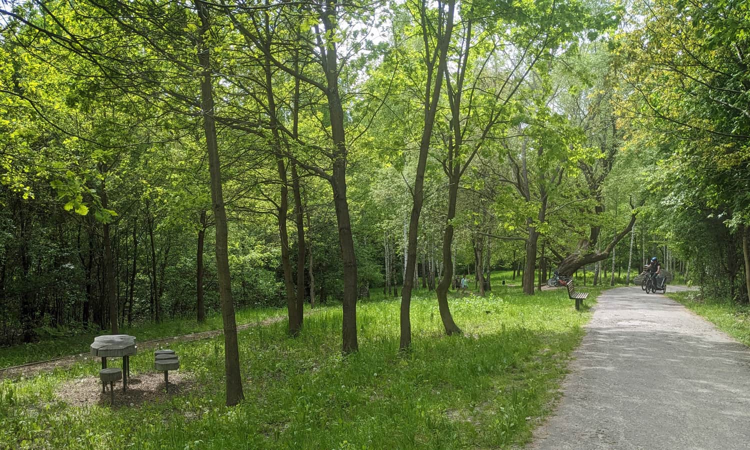 Clearing at Sikornik