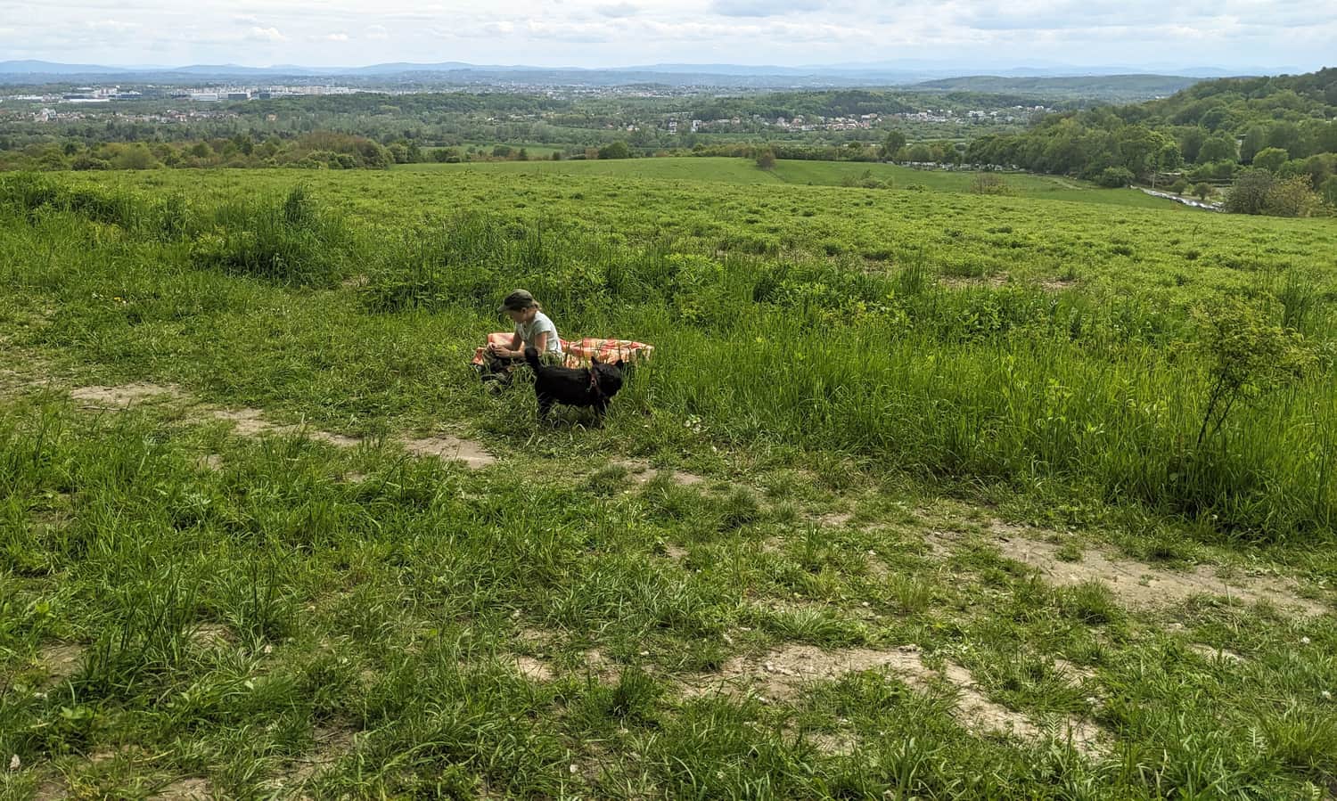 Szeroka panorama z polanki widokowej na Sikorniku