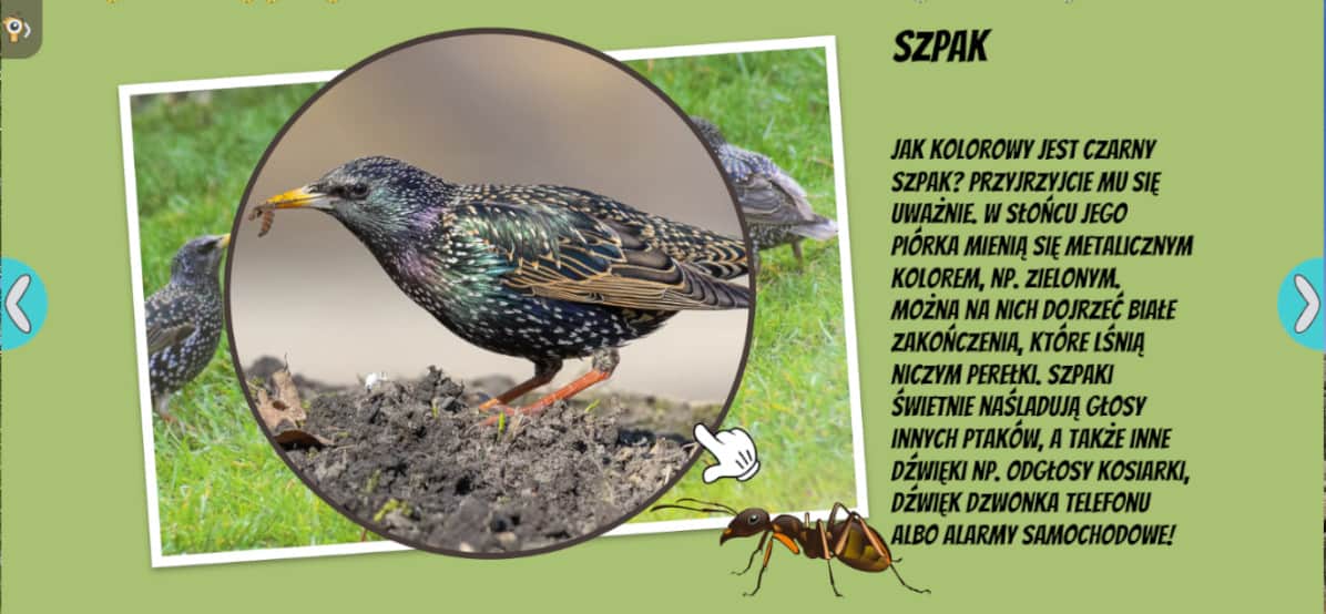 Aplikacja 