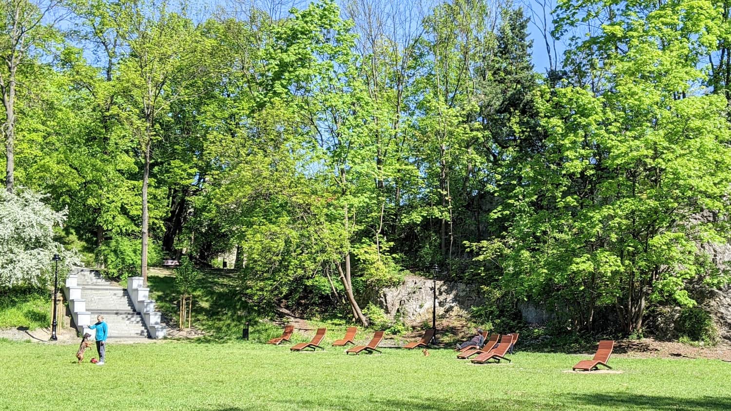 Leżaki