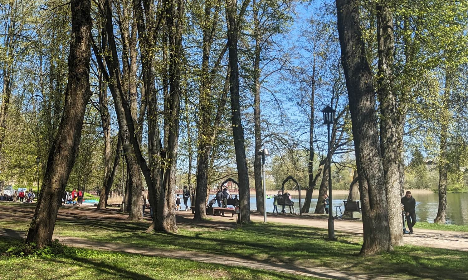 Troki, park hustawek nad jeziorem