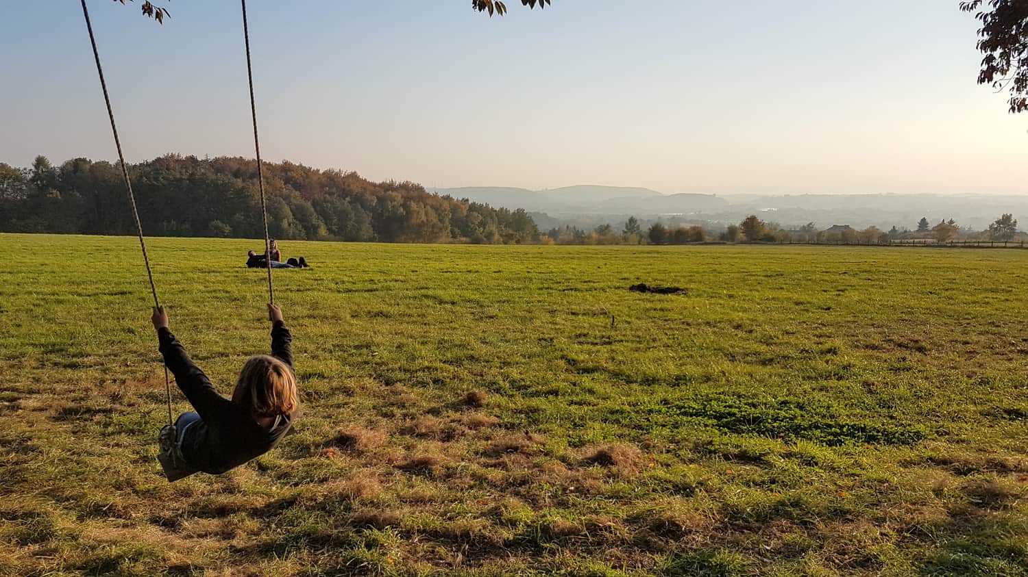 łąki przy Uniwersytecie Rolniczym