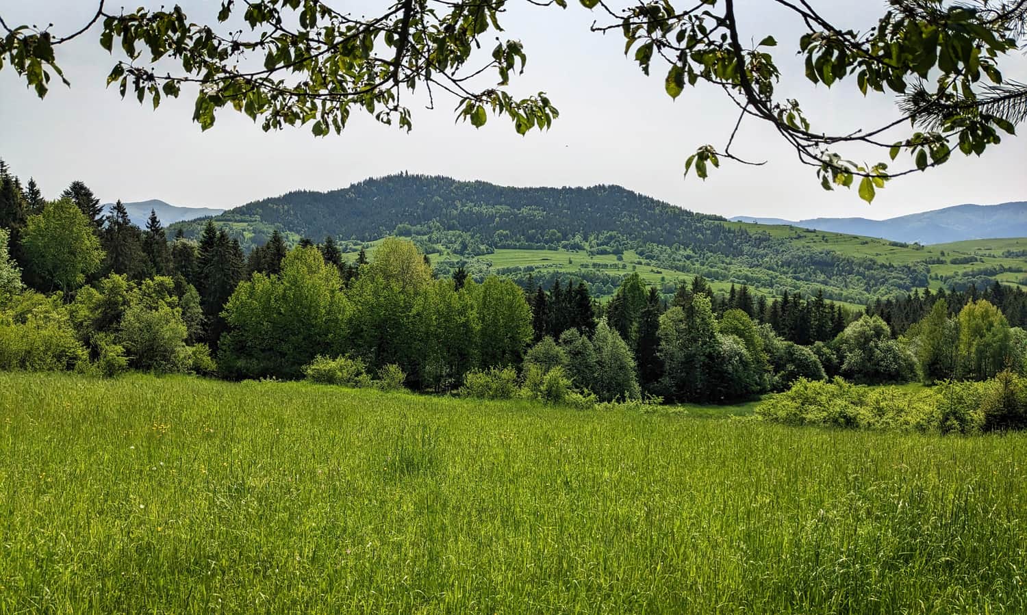 Ostra i Ogorzała ze szlaku na Czarny Dział. Po lewej 