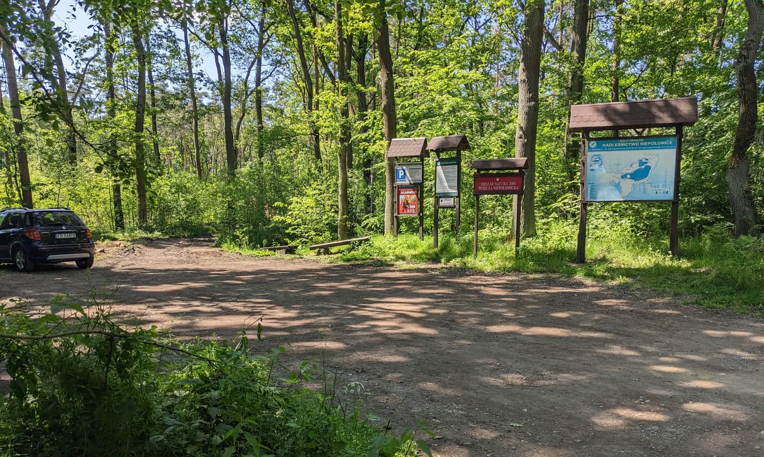 Parking in the Niepołomice Forest, Stanisławice