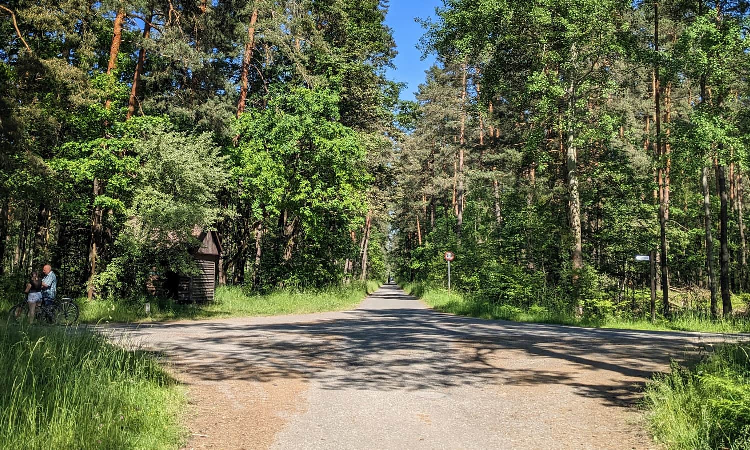 Intersection near the Black Pond: shelter on the left, sign on the right. Follow the sign and turn left.