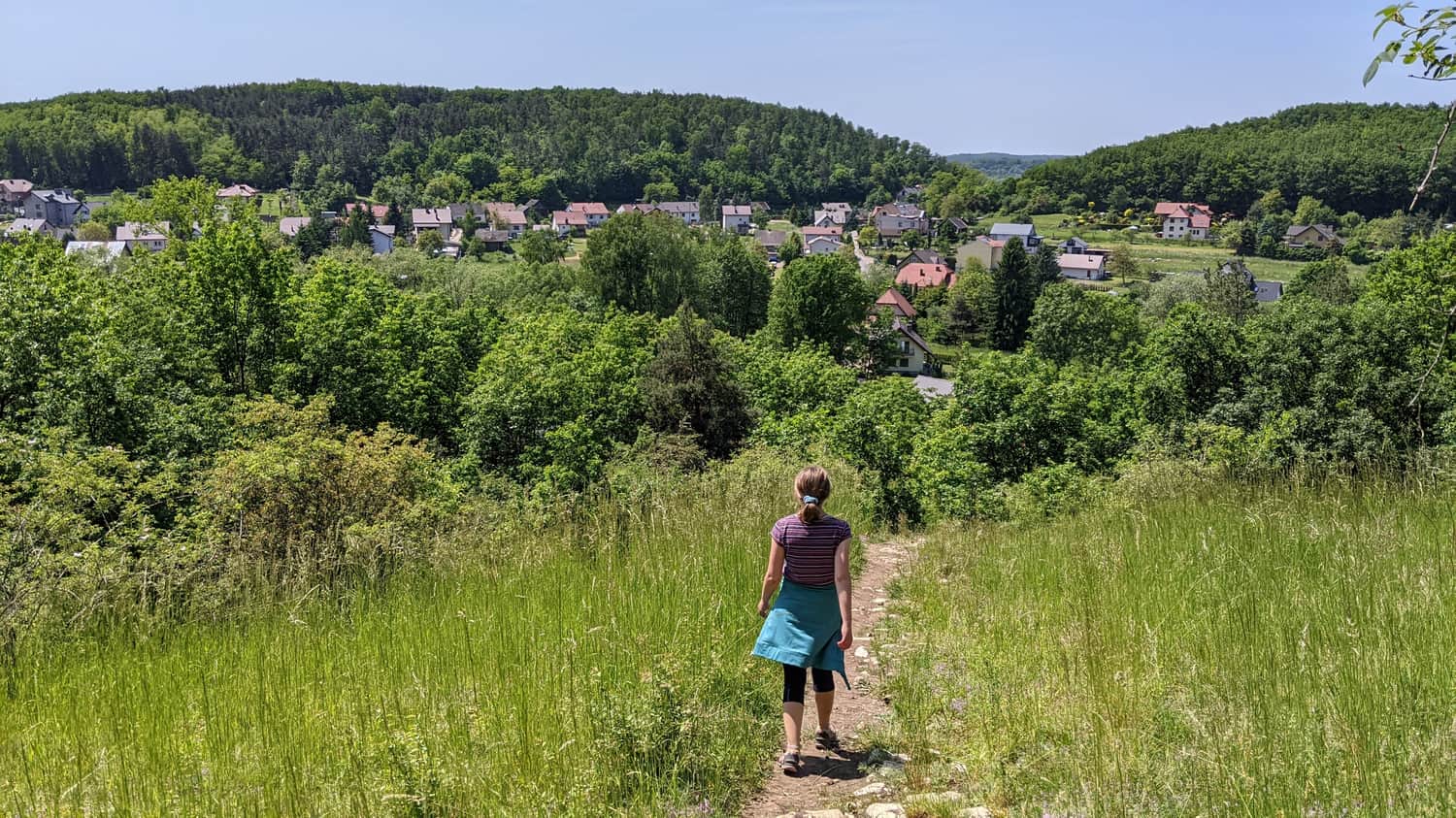 Kowadza Grove - view of the surroundings