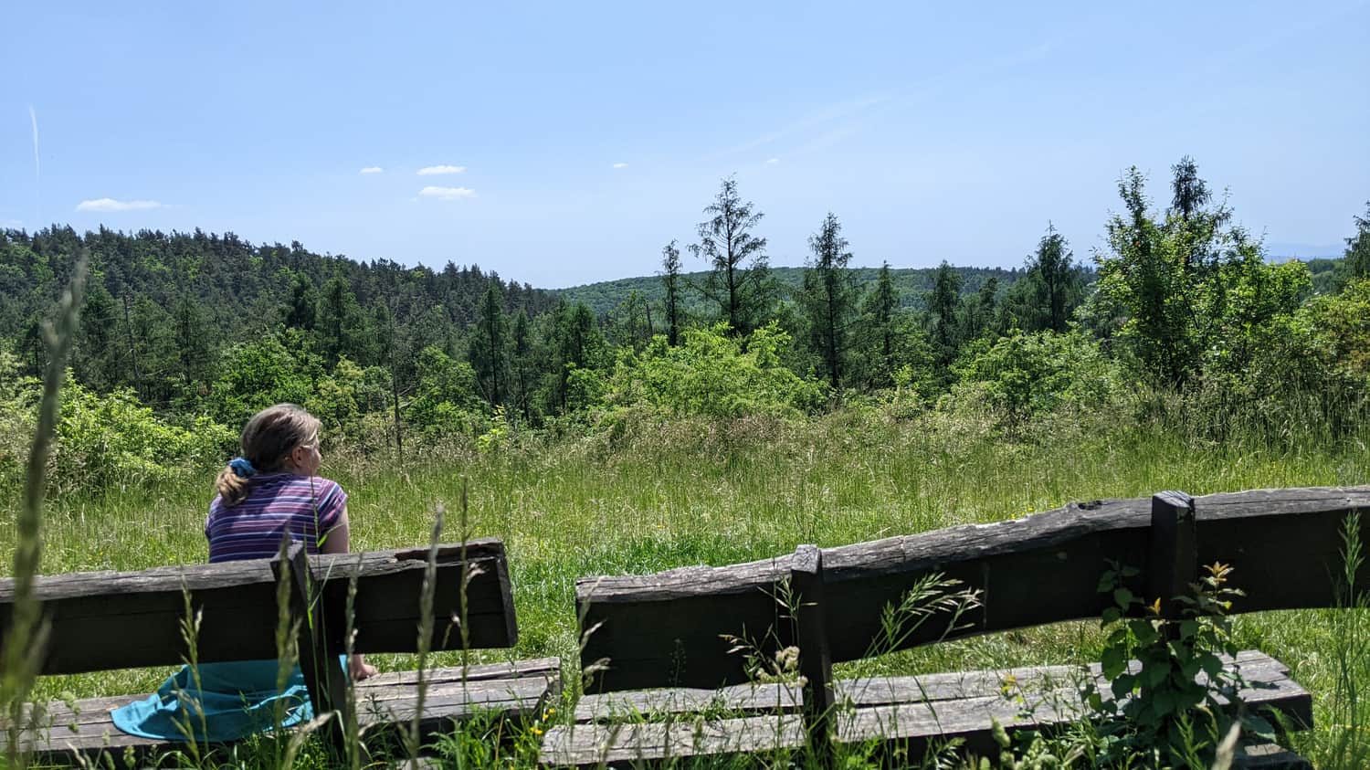 Kowadza Grove