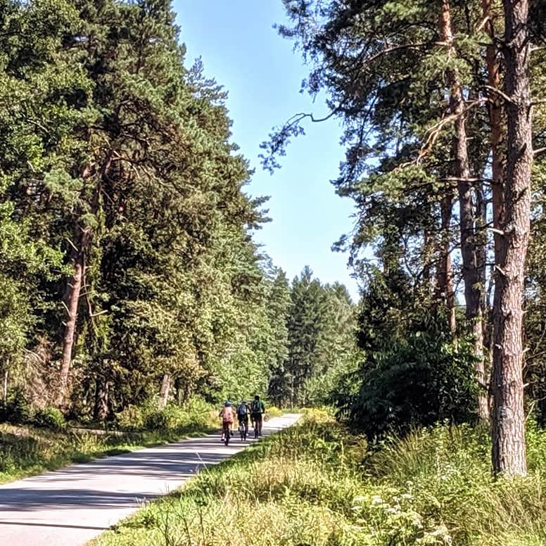 żubrostrada