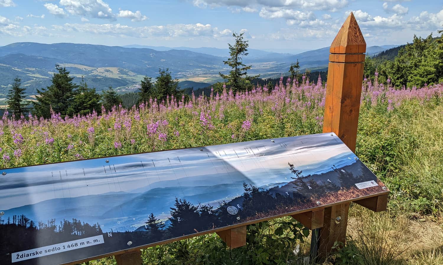 Ždiarske sedlo - panorama na południe