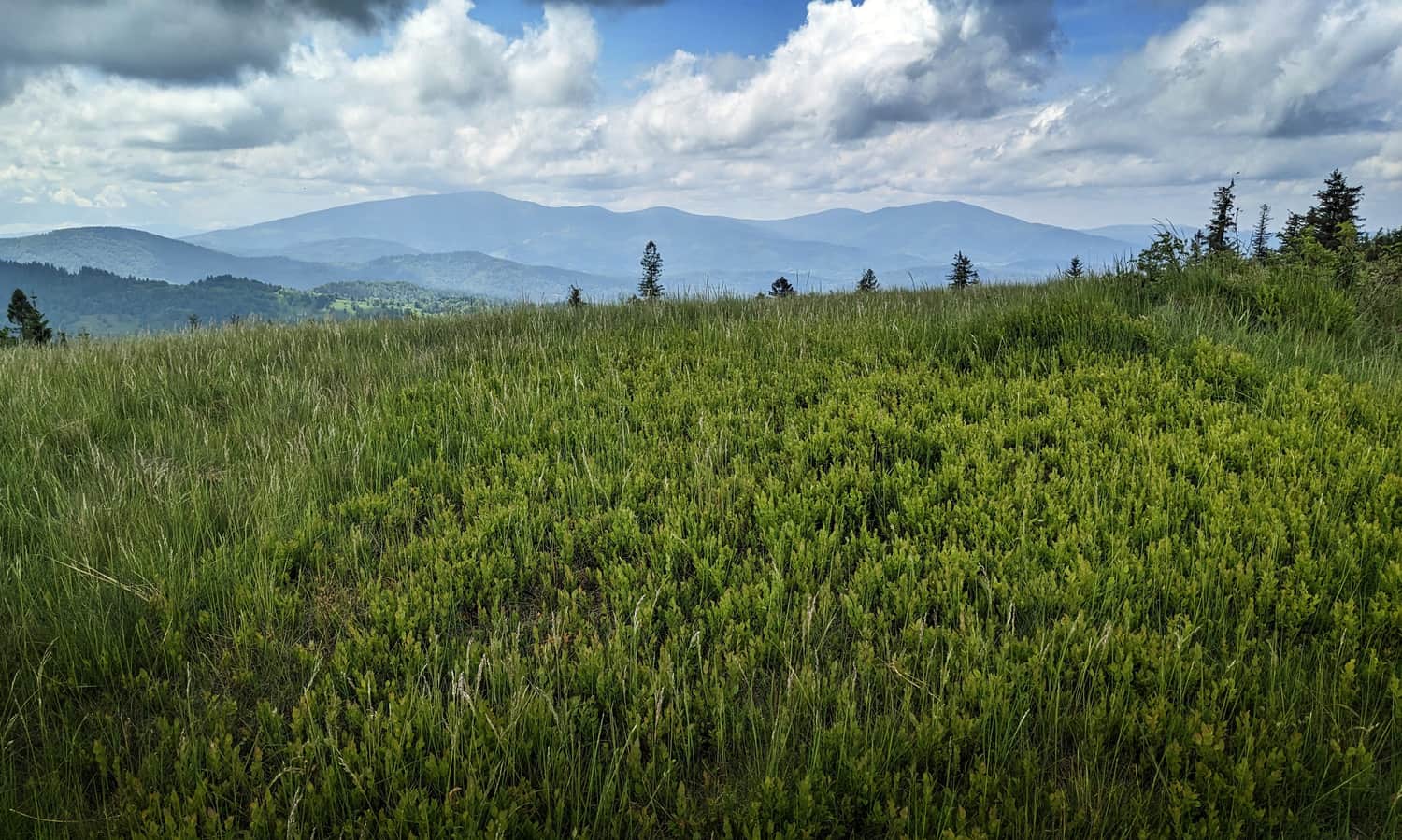 Lachów Groń - view to the south-west: Pilsko, Rysianka and Romanka