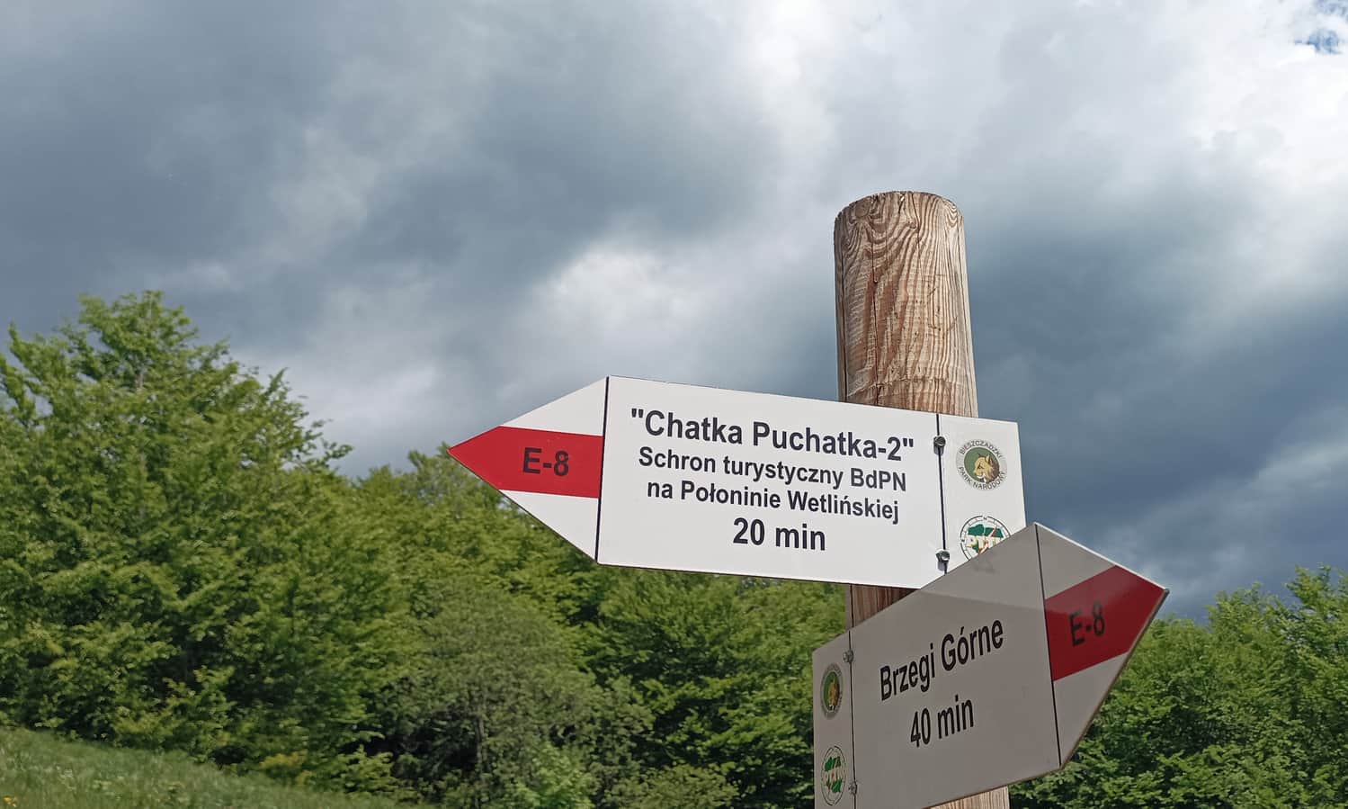 Red trail to Połonina Wetlińska, photo by K. Baran