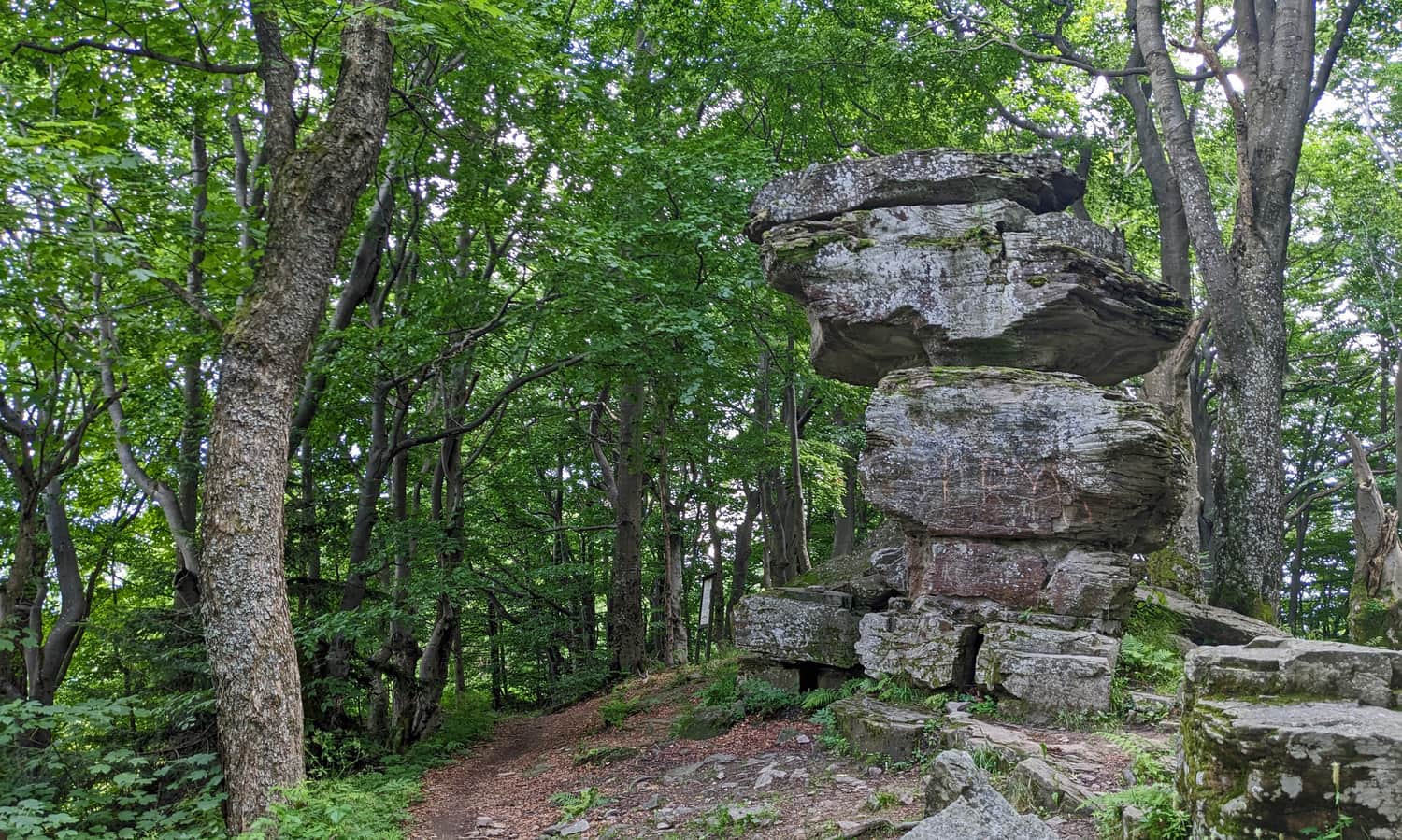 Devil's Stone near Jaworzyna Krynicka