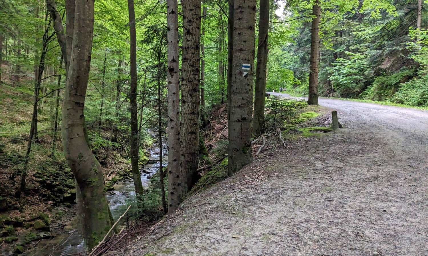 The Great Roztoka Valley in Rytro