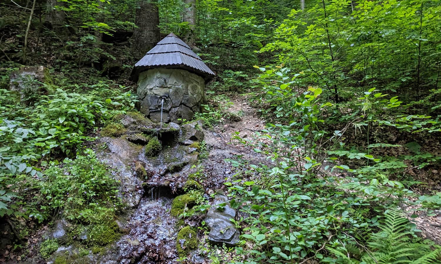 Doliny Roztoki Wielkiej - źródełko