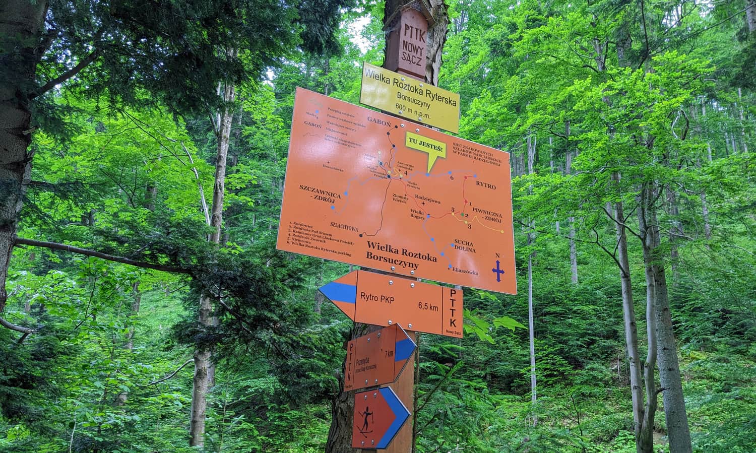 Borsuczyny. Rozejście dróg w Dolinie Roztoki Wielkiej