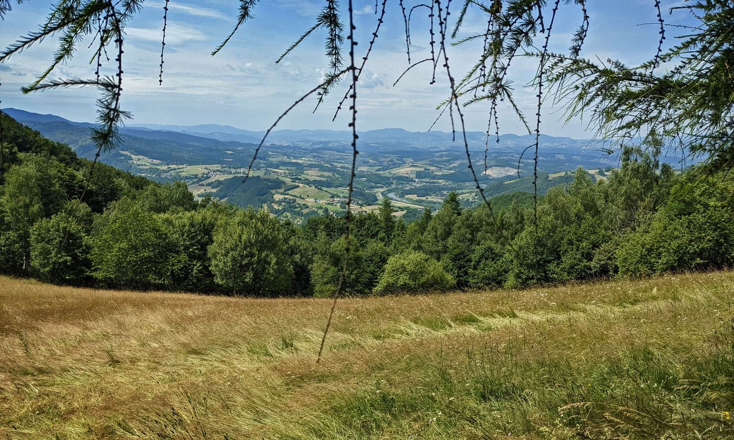 Polana Kretówki przy czerwonym szlaku - widok na zachód: Dolina Popradu, Gorce i Beskid Wyspowy.