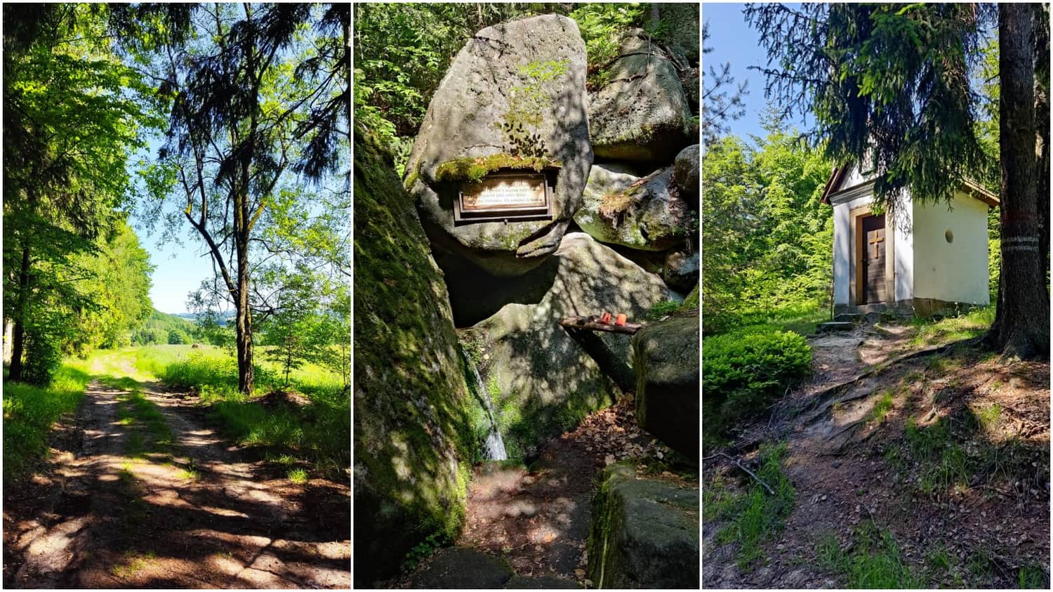 Teplice nad Metuji: leśna droga / źródło św. Huberta / kapliczka  Maryi. Fot. Justyna