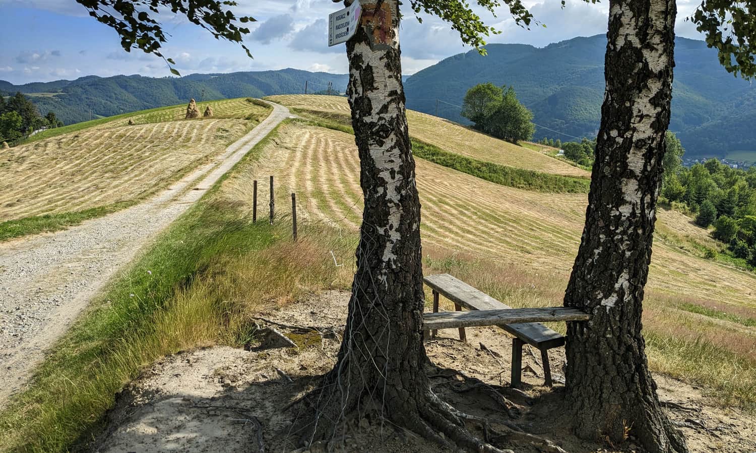 Rytro: Brzozowy Gronik viewpoint, 536 meters above sea level