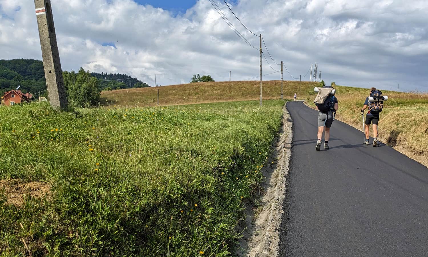 Red trail from Rytro to Brzozowy Gronik, Kordowiec, Niemcowa, Wielki Rogacz, and Radziejowa
