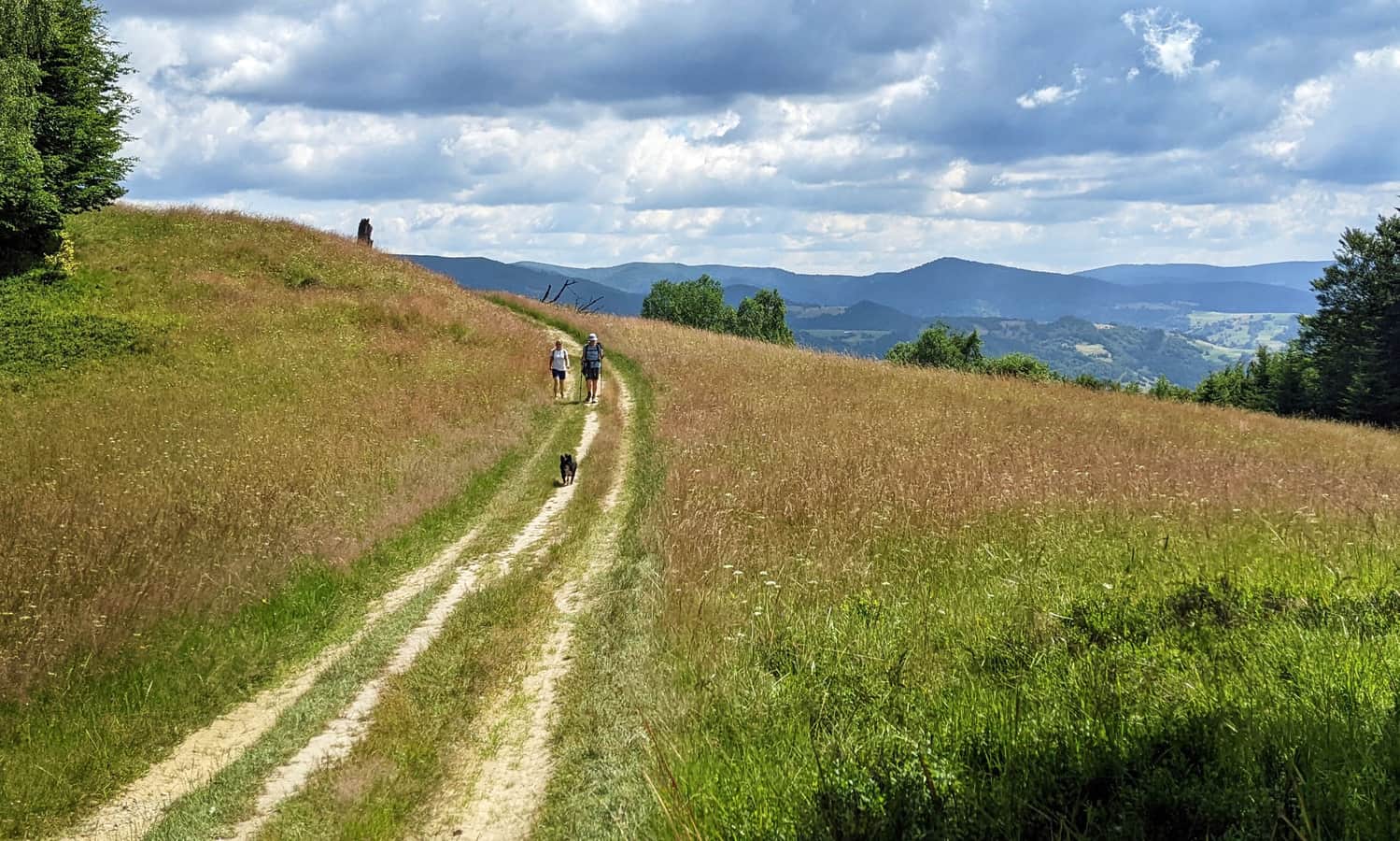 Poczekaj Glade - view of the Jaworzyna Krynicka range