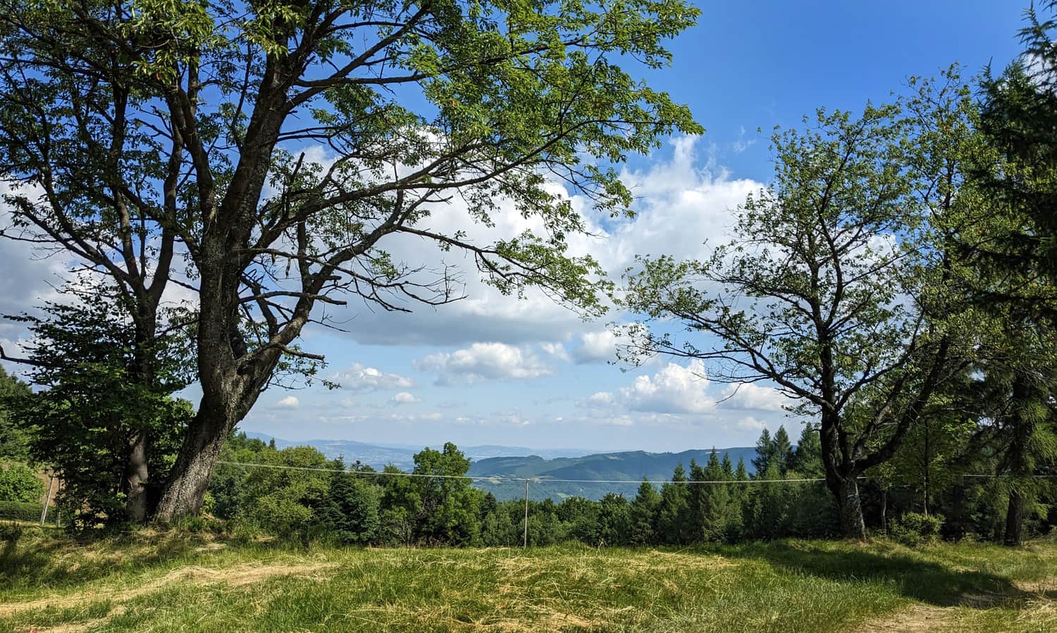 Kordowiec: meadow on the red trail from Rytro to Niemcowa and Radziejowa