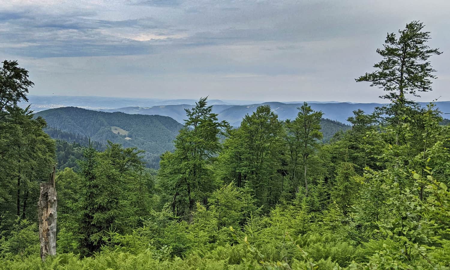 Viewing window between Niemcowa and Wielki Rogacz. Photo by Krzysiek