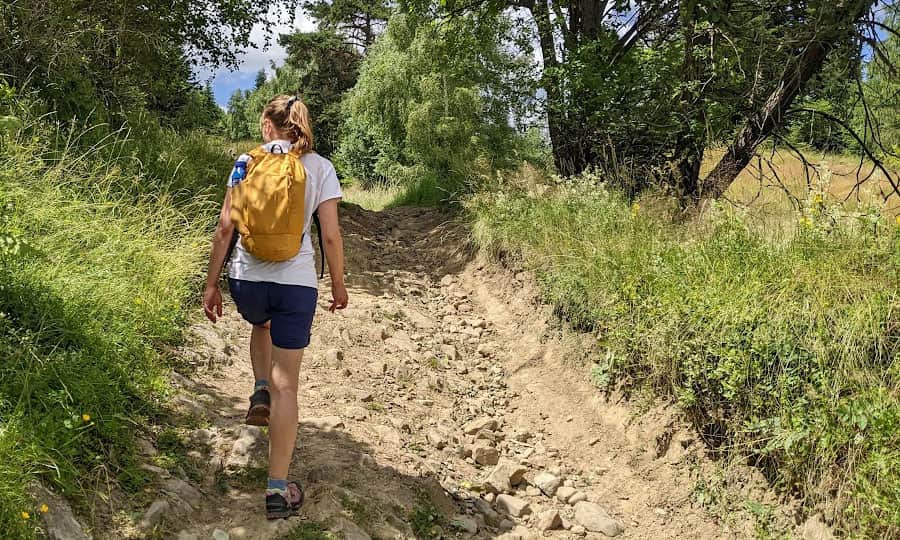 Steep paths to Niemcowa from Piwniczna Zdrój, yellow trail. Photo by Krzysiek