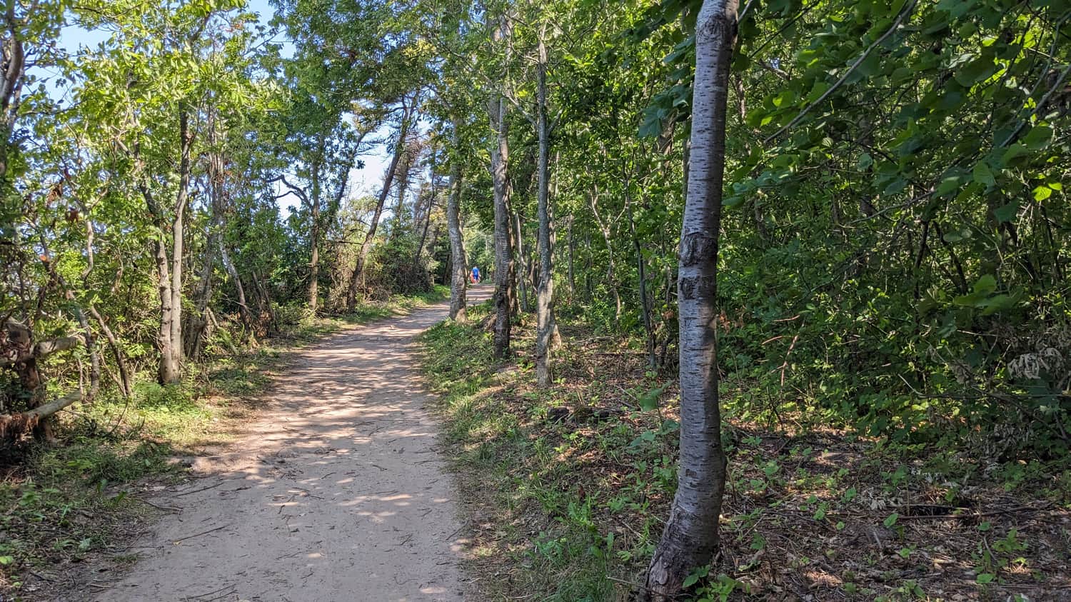 Path on the Rewal-Trzęsacz cliff